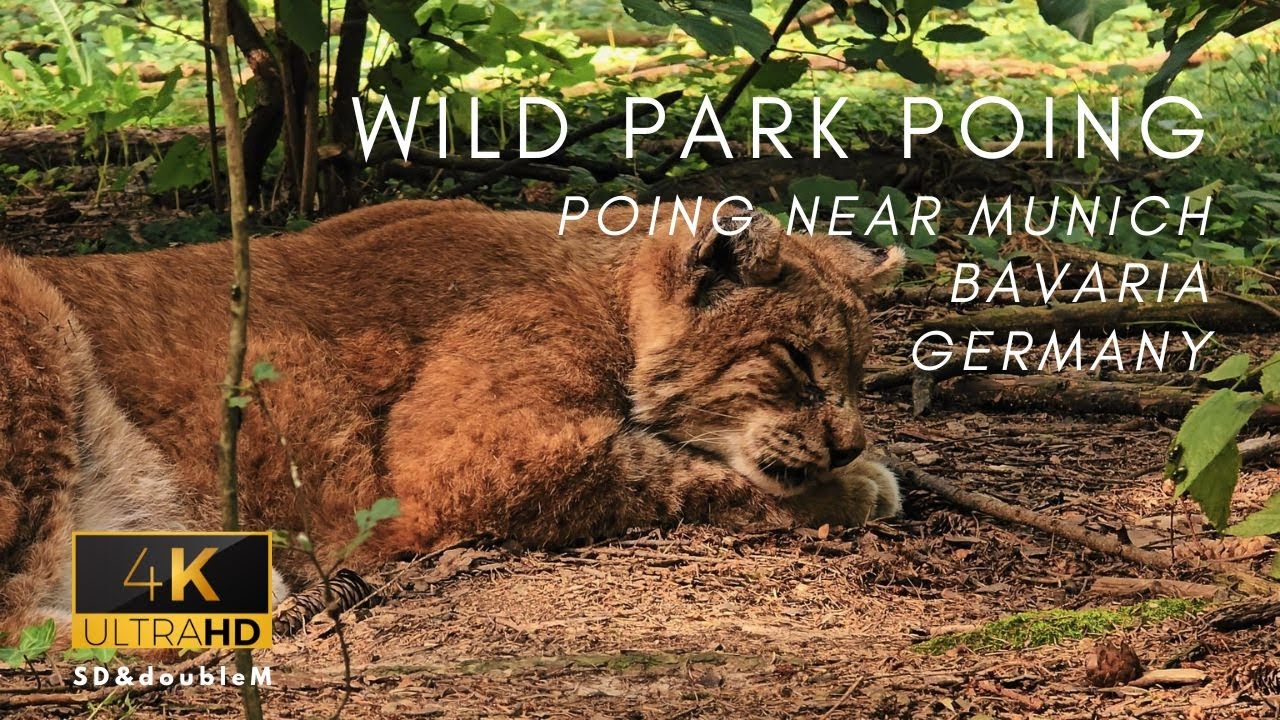 Wild Park Poing - Germany