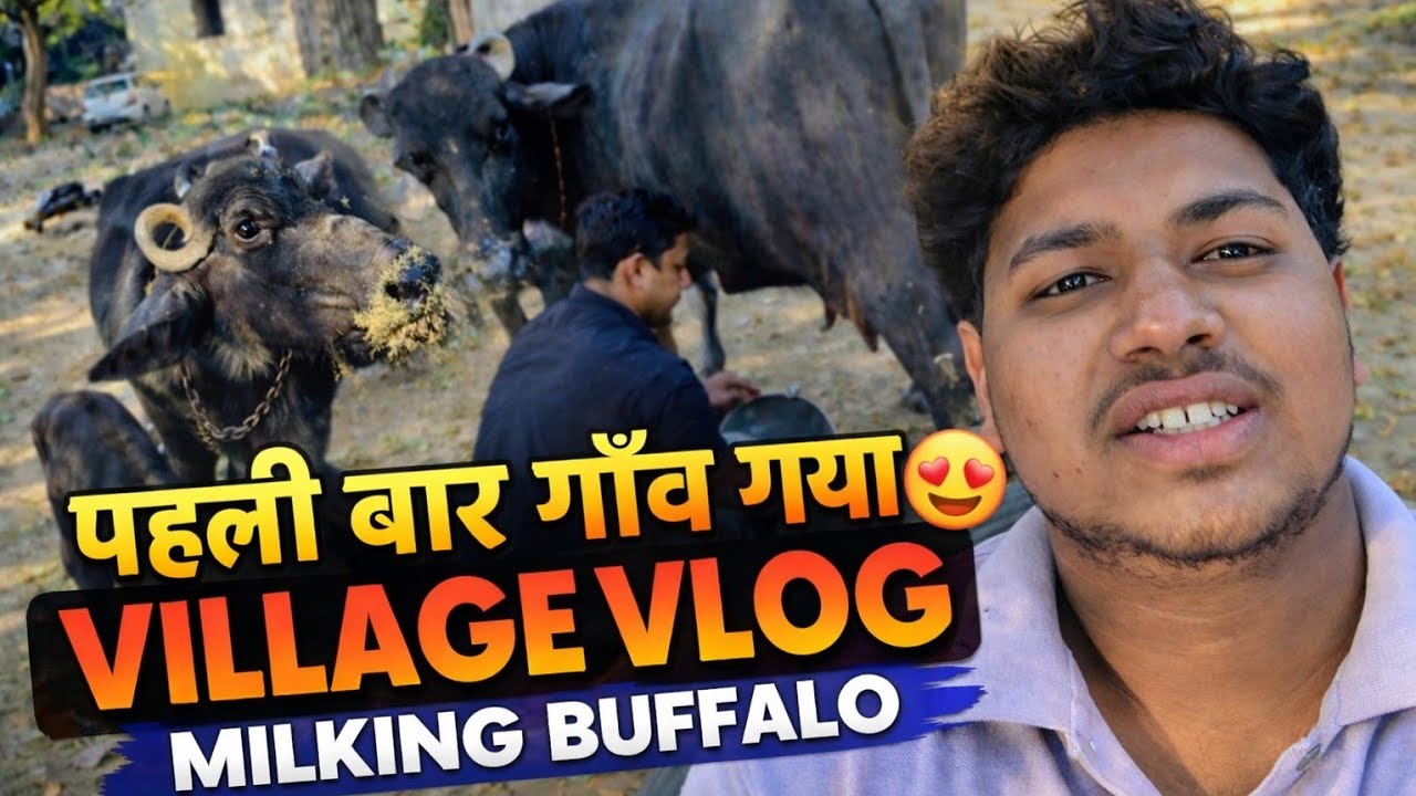 My First Village Vlog | Gaon Ki Life 😍 Buffalo Milking Experience