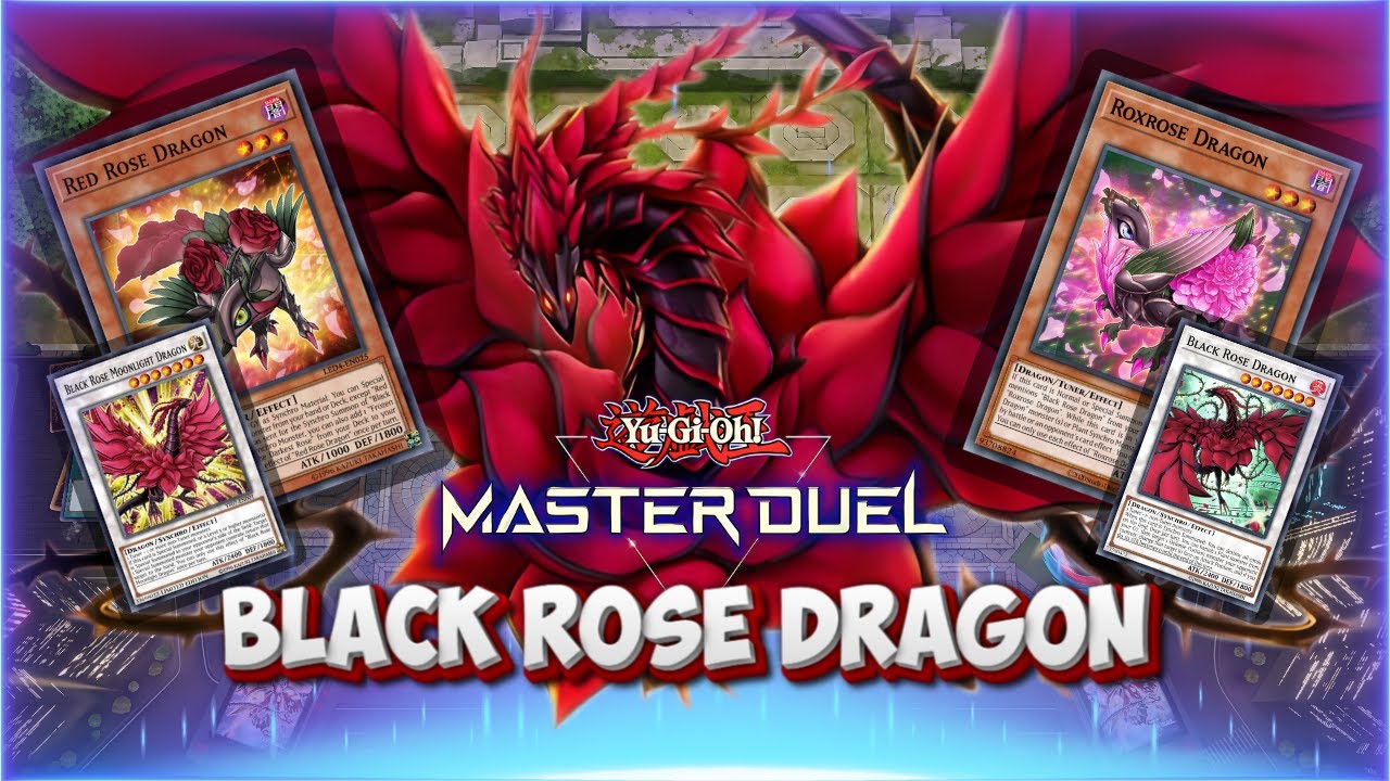 BLACK ROSE DRAGON DECK IN 2025! IS IT VIABLE? DUEL HIGHLIGHTS | YUGIOH! MASTER DUEL