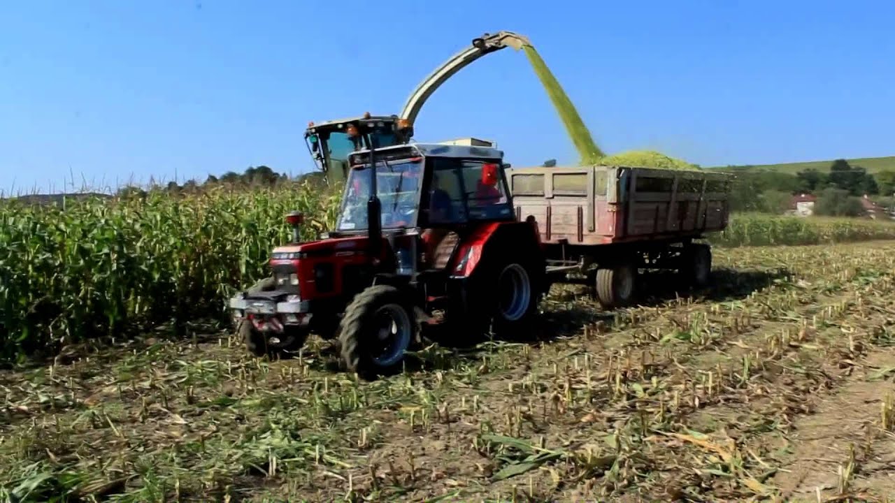 PD Krásin Dolná Súča - Siláže 2015