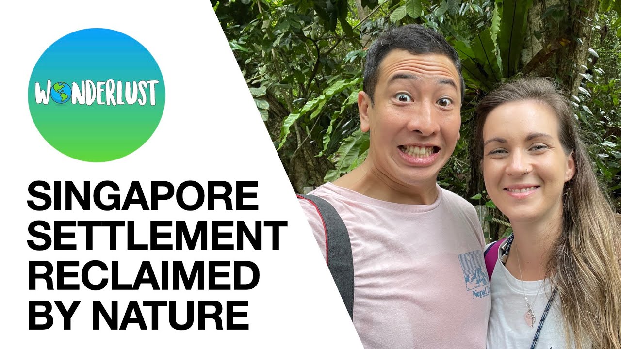 Did We Discover an Old MOVIE SET in Singapore?! // Kampong Reclaimed by Nature,  Thomson Nature Park