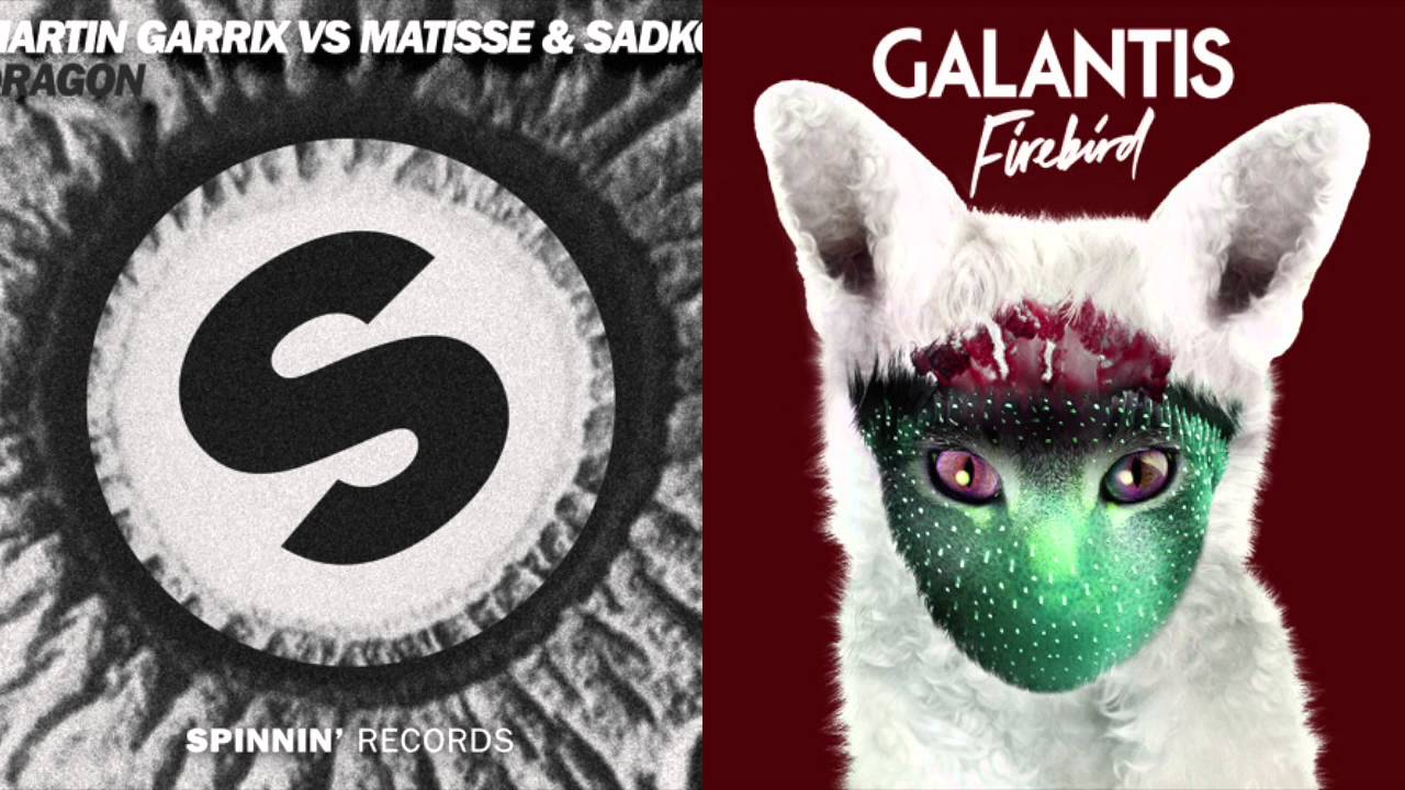 Dragonbird [Martin Garrix/Galantis Mashup]