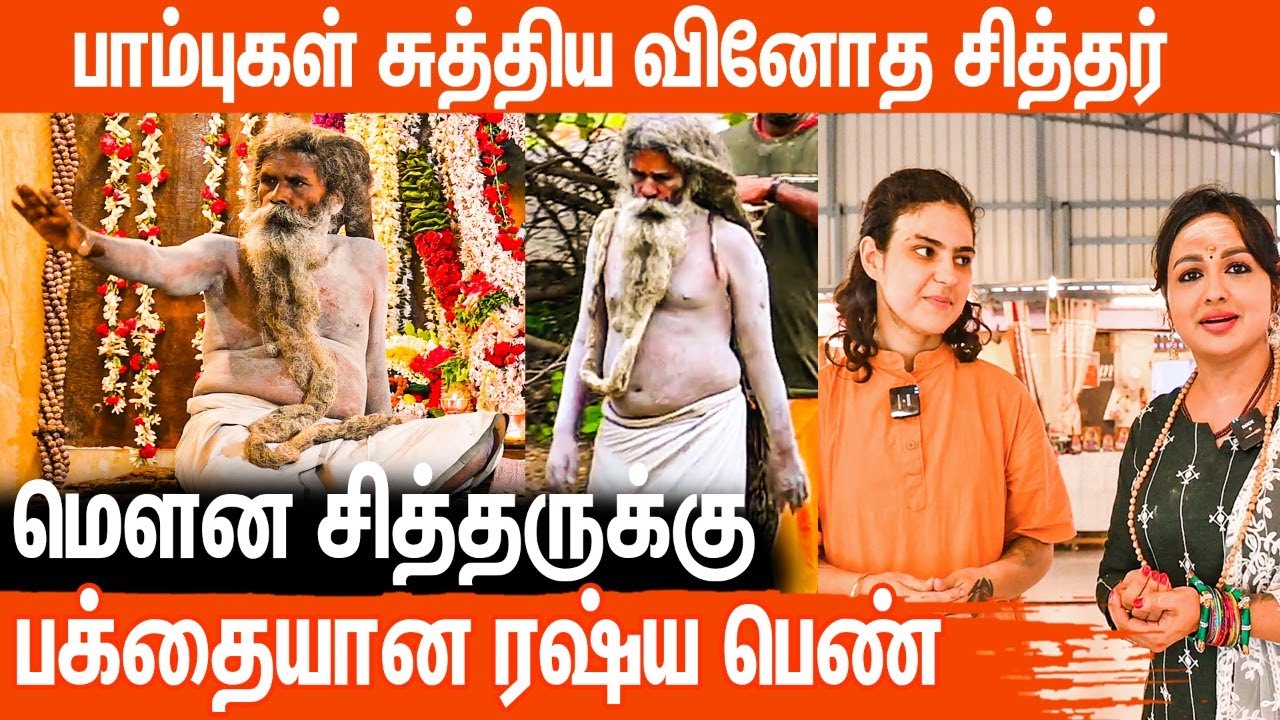 உலககெங்கும் போற்றப்படும் திருவண்ணாமலை மௌன சித்தரின் அற்புதங்கள்! #aanmeegaglitz
