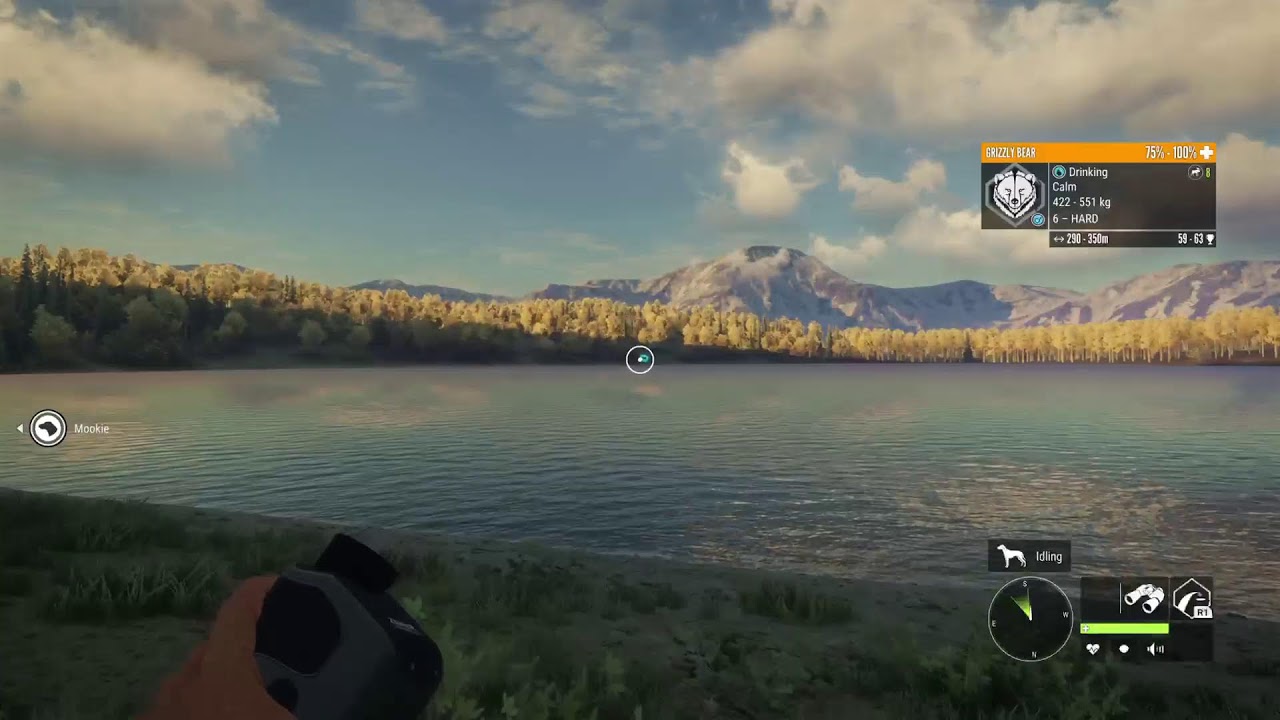 Thehunter: Call of the Wild livestream