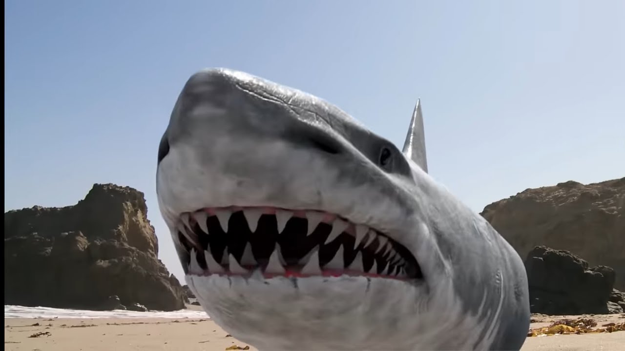 Supershark (2011) super shark screen time 
