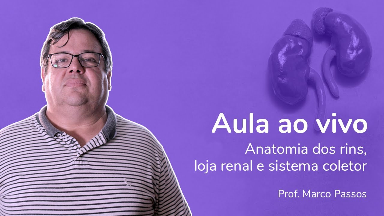 Aulão de Anatomia dos Rins, Loja Renal e Sistema Coletor com Prof. Marco Passos