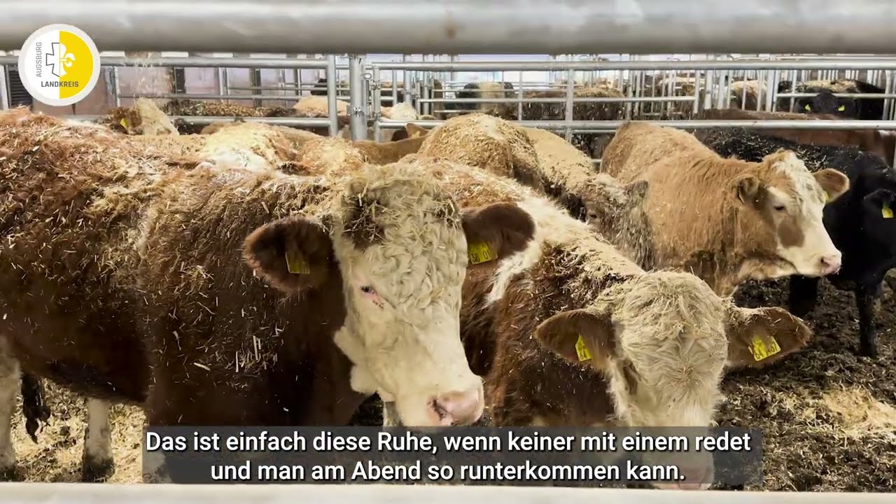 Hofmetzgerei Zimmermann - Imagefilm A\FAIR 2025