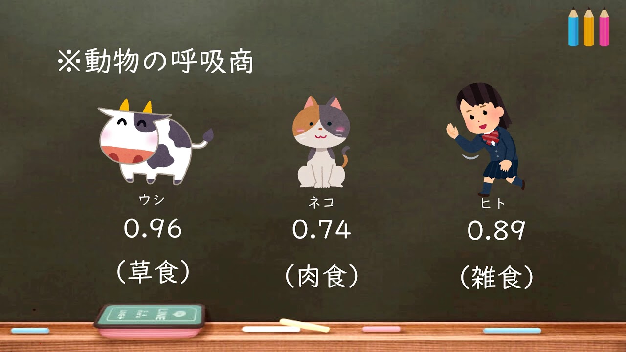 おうち生物　8 .呼吸商 (高校生物）