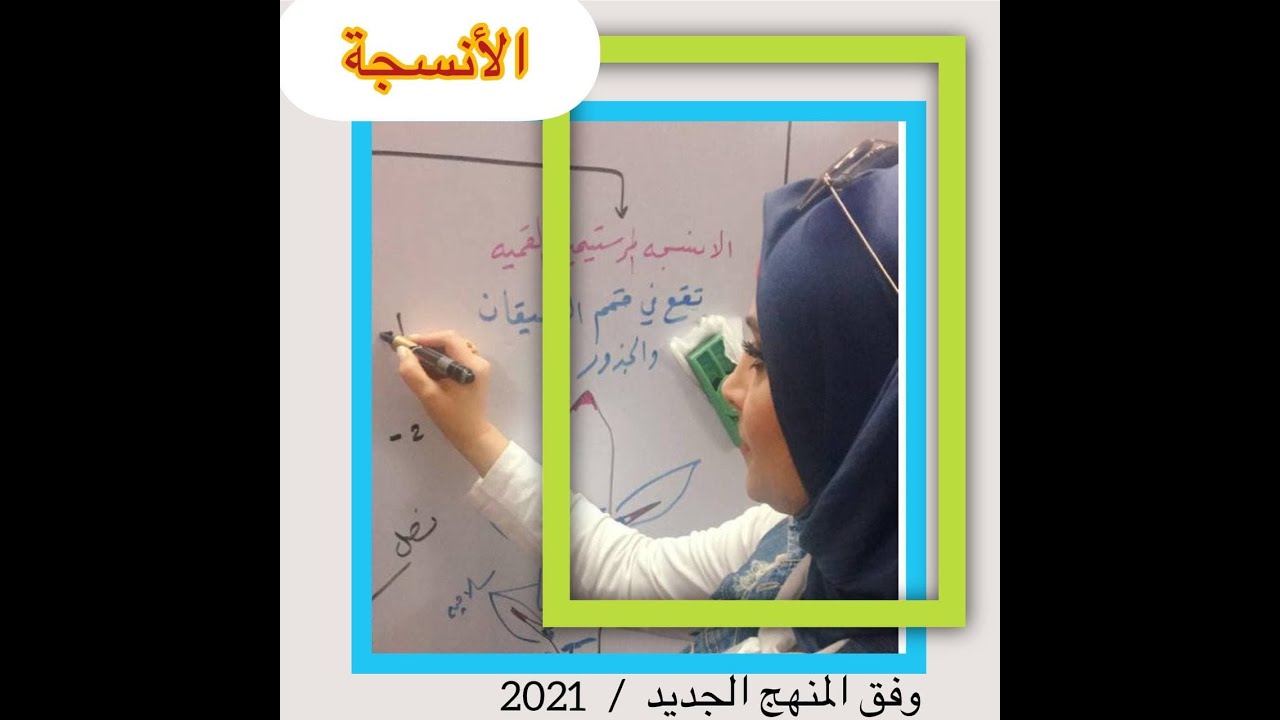 احياء السادس العلمي / الانسجة 1 / الانسجة النباتية