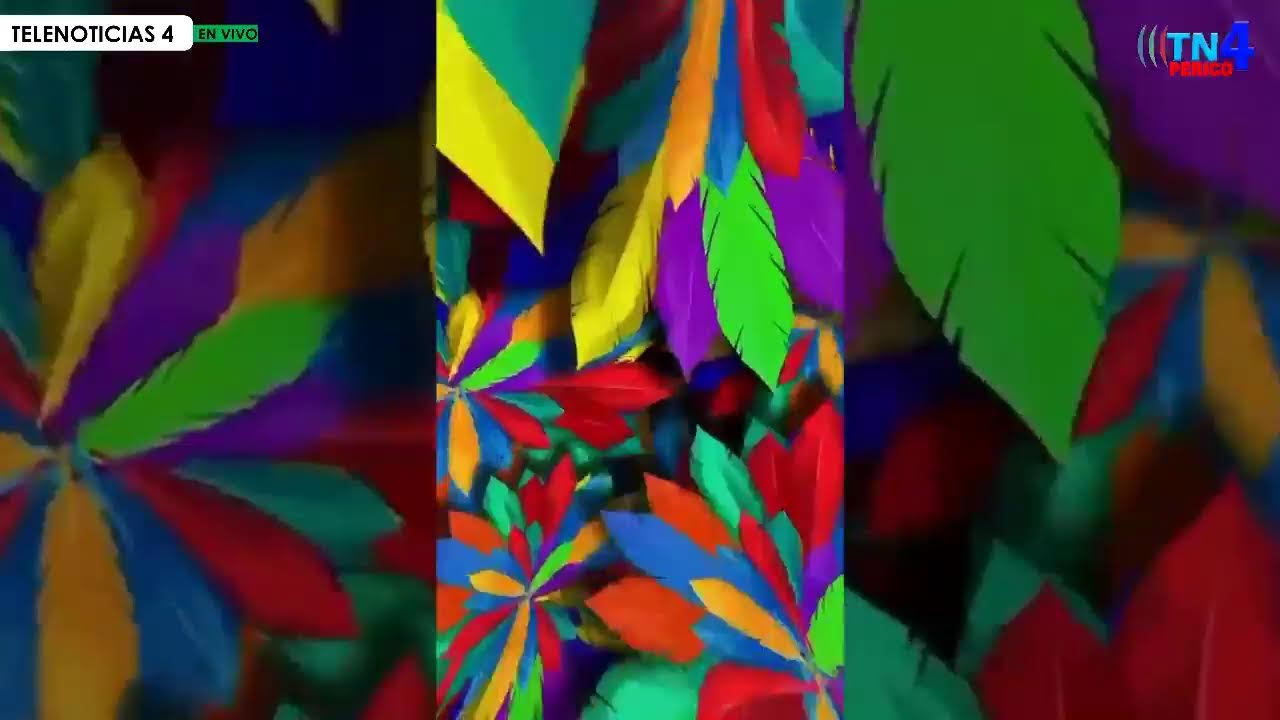 TELENOTICIAS 4