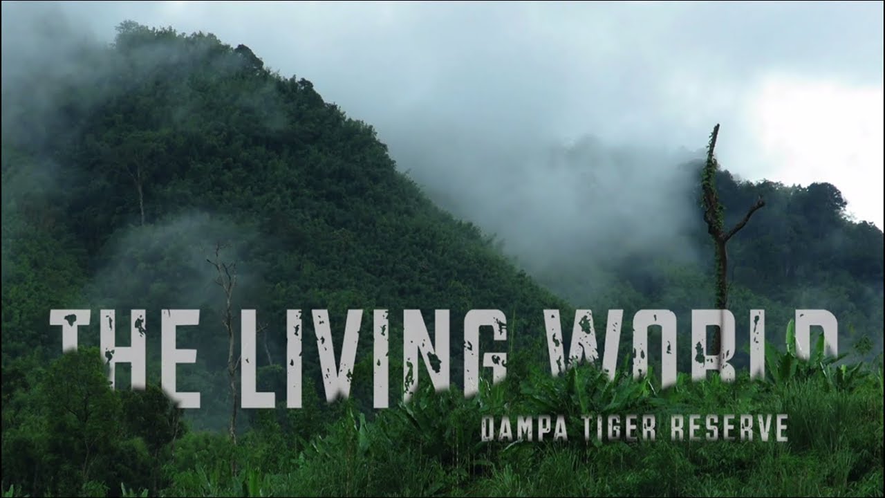 The Living World_Dampa Tiger Reserve