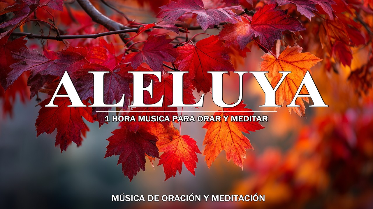 1 HORA MUSICA PARA ORAR Y MEDITAR | SIN ANUNCIOS | A solas con él ESPÍRITU SANTO