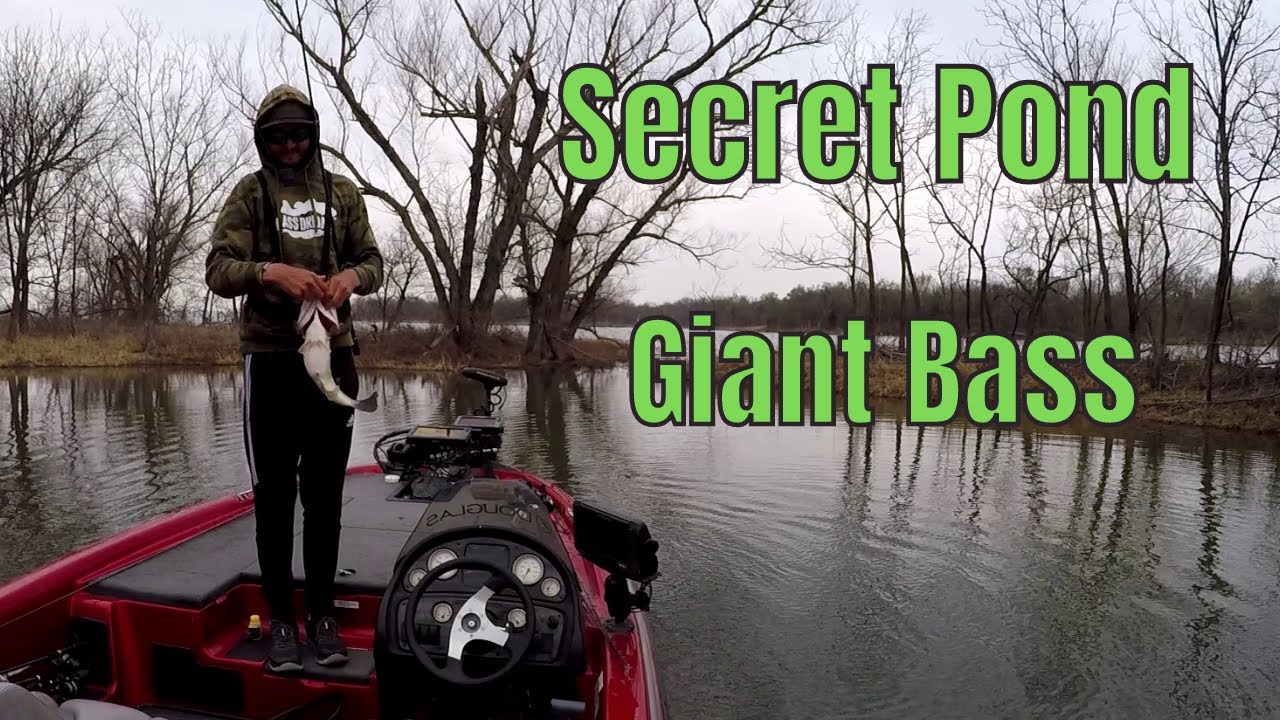 Insane Spring Texas Bass Fishing on Lake Ray Roberts (20+lbs)