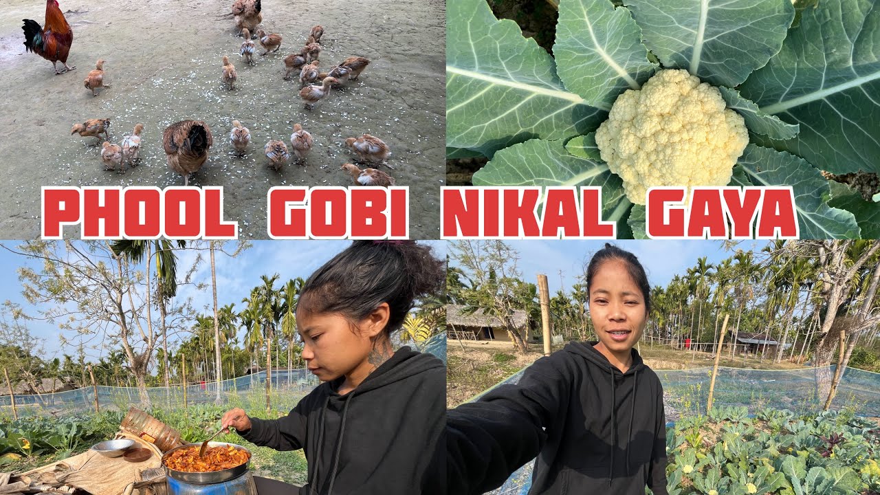 Muli Achar Bohot Kha Diya 