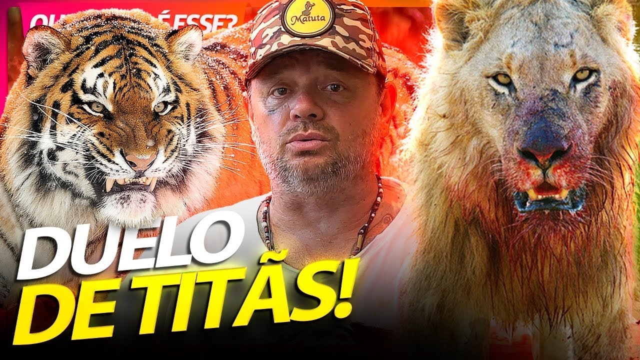 QUANDO UM LEÃO ENCONTRA UM TIGRE, QUAL O MAIS PODEROSO? | RICHARD RASMUSSEN