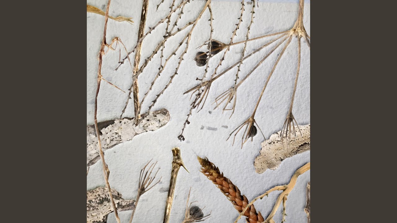 Intro (feat. Aitor de Haro)