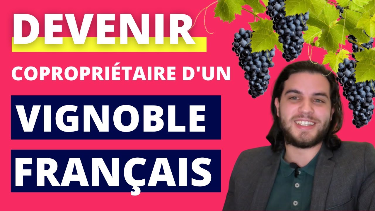 Devenir copropriétaire d'un vignoble français avec 3000€ 🍇🇫🇷