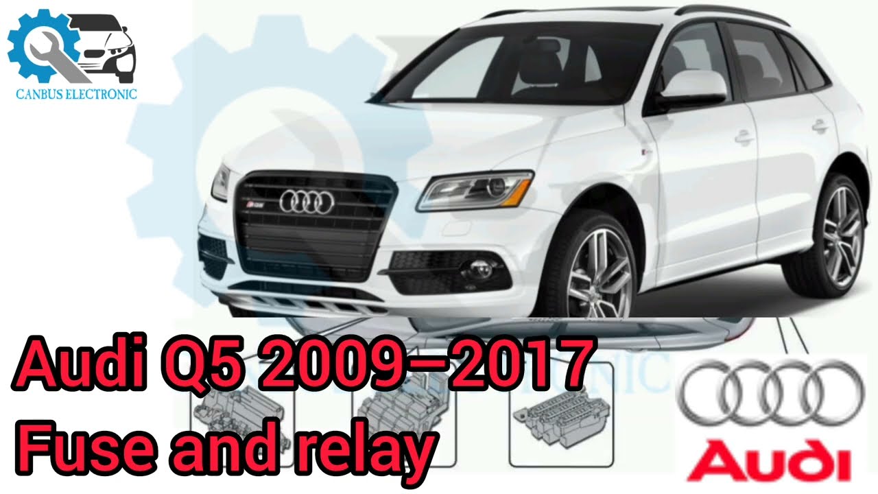 Audi Q5 2009–2017 Fuse and relay