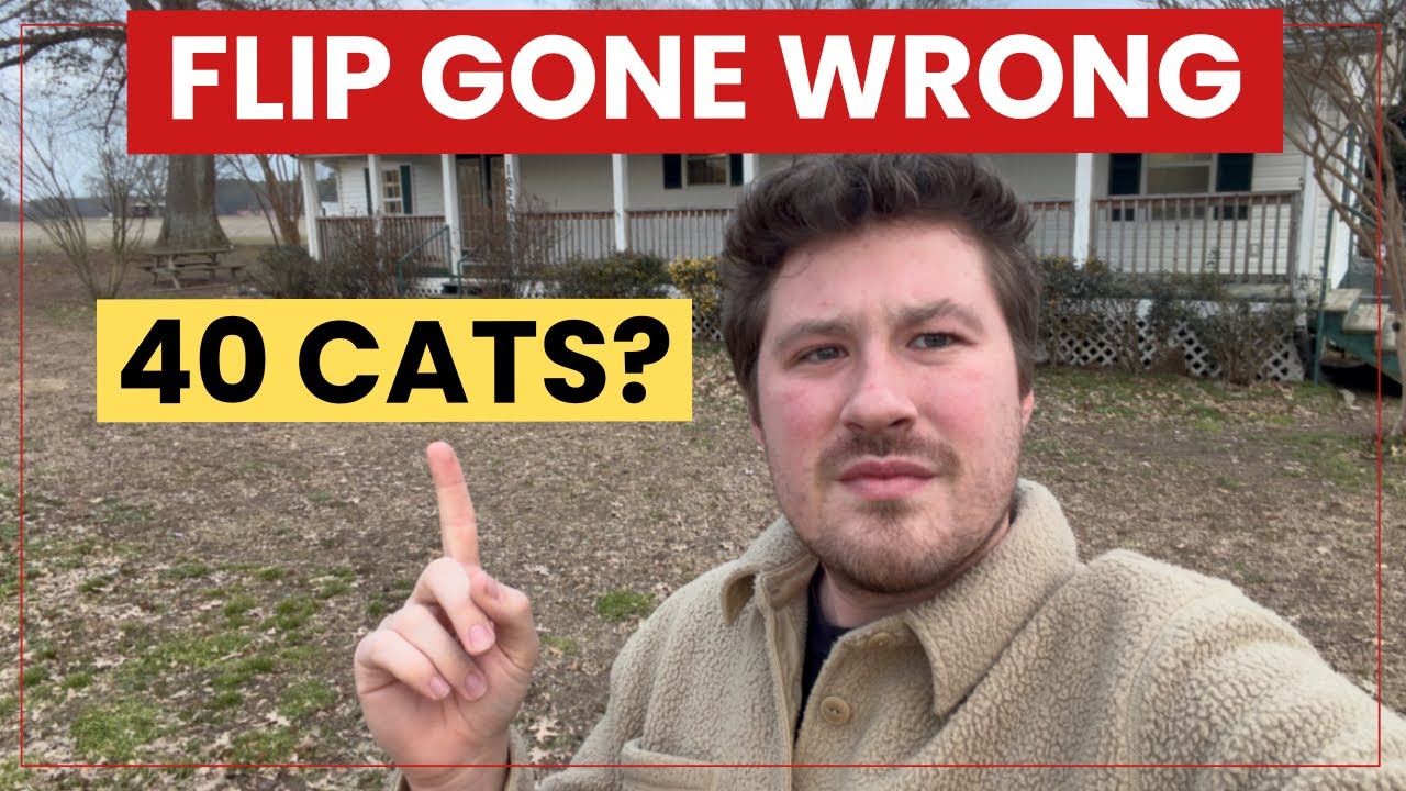 A Flip Gone Wrong: The House With 40 Cats