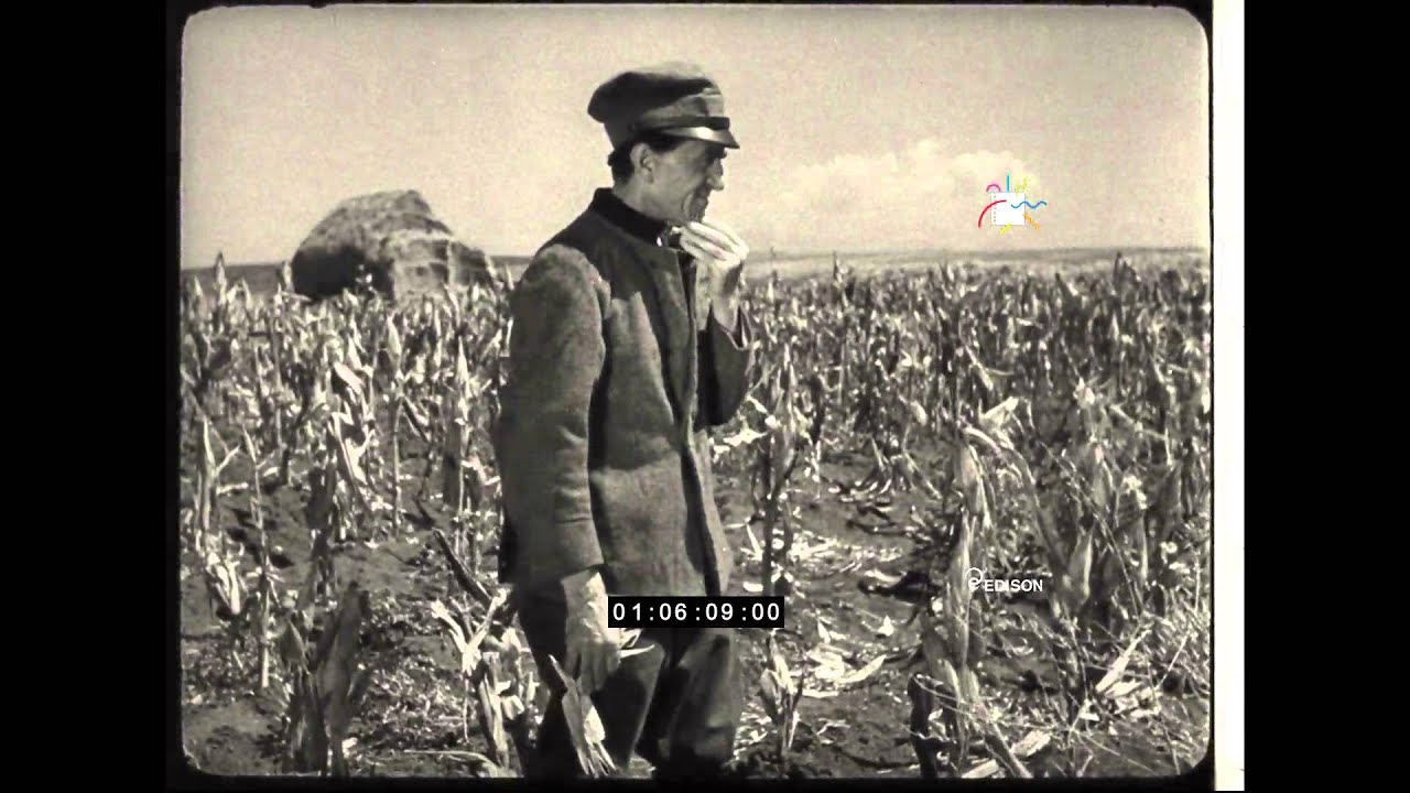 Archivio materiale storico - Montecatini  (6697V)