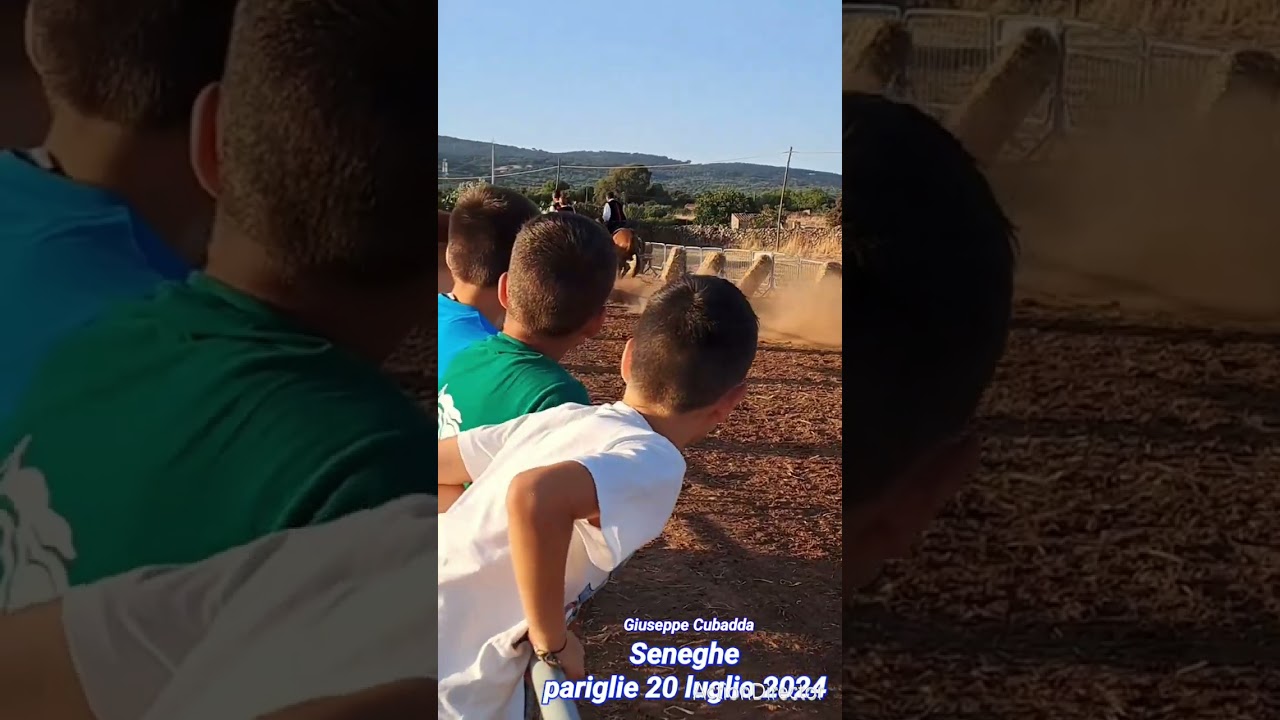 Seneghe ~ Pariglie 20 luglio 2024 2°edizione