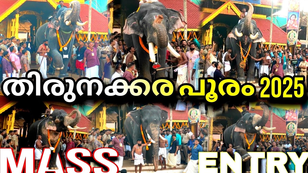 തിരുനക്കര പൂരം 2025 ! 22 ആനകളുടെ മാസ്സ് എൻട്രി ! thirunakkara pooram 22 elephants entry