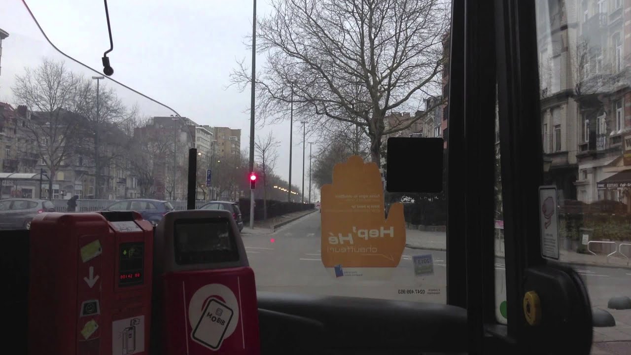 fanastib-ligne 80