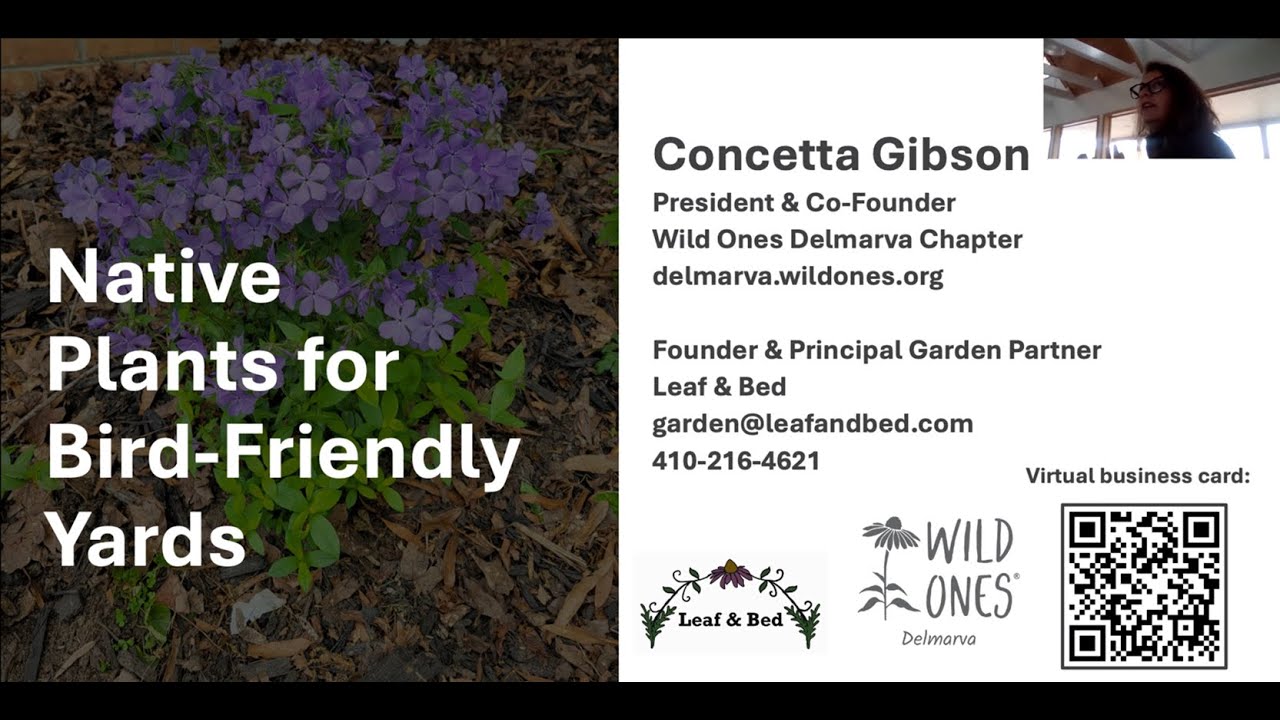 Native Plants for Bird-Friendly Yards