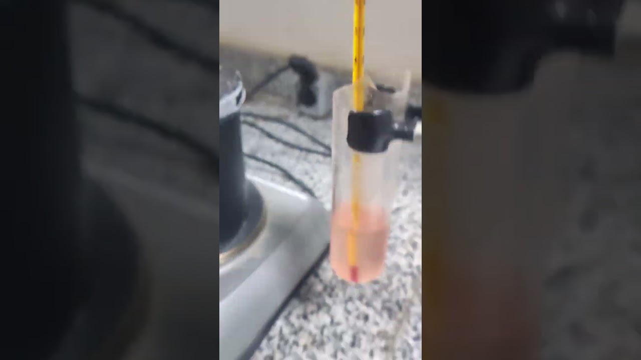 Melting Point of Wax تجربة انصهار الشمع: كيف نحدد درجة الانصهار بطريقة سهلة وممتعة
