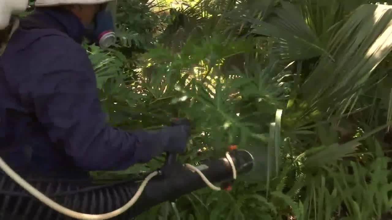 Business booming for mosquito company