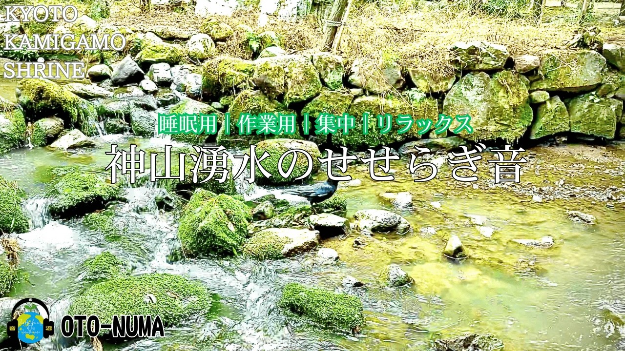 【自然音/水の音】心が落ち着く清流のせせらぎ音