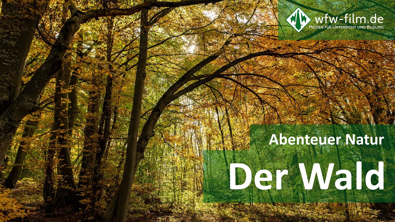 Abenteuer Natur – Der Wald