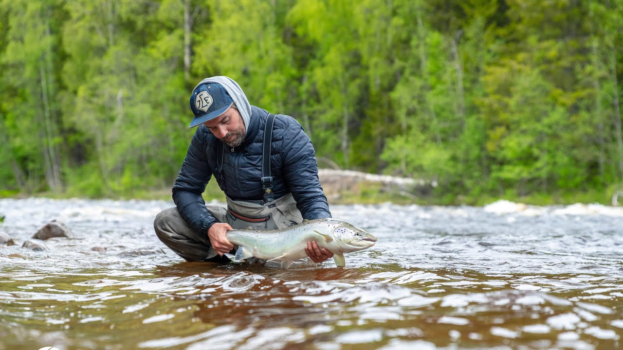 Fly fishing for salmon north of Sweden