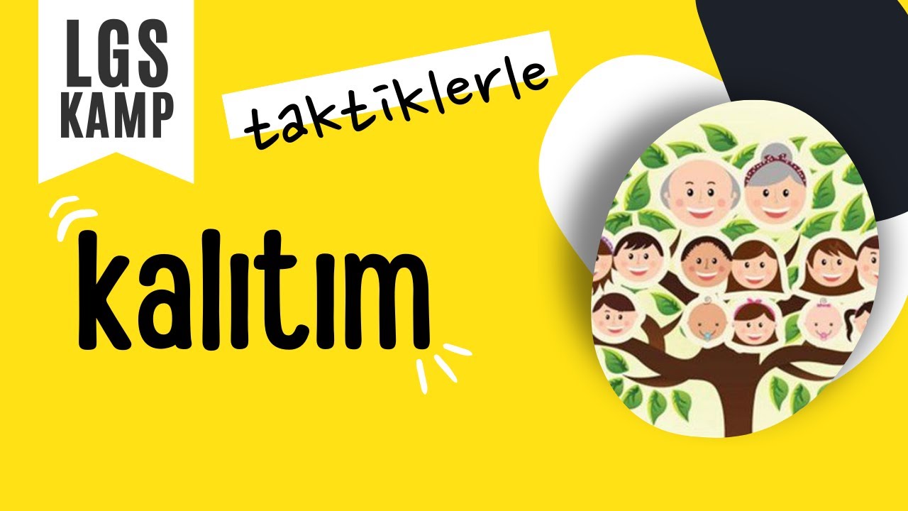 taktiklerle kalıtım / lgs kampı / #lgs #fen #kalıtım