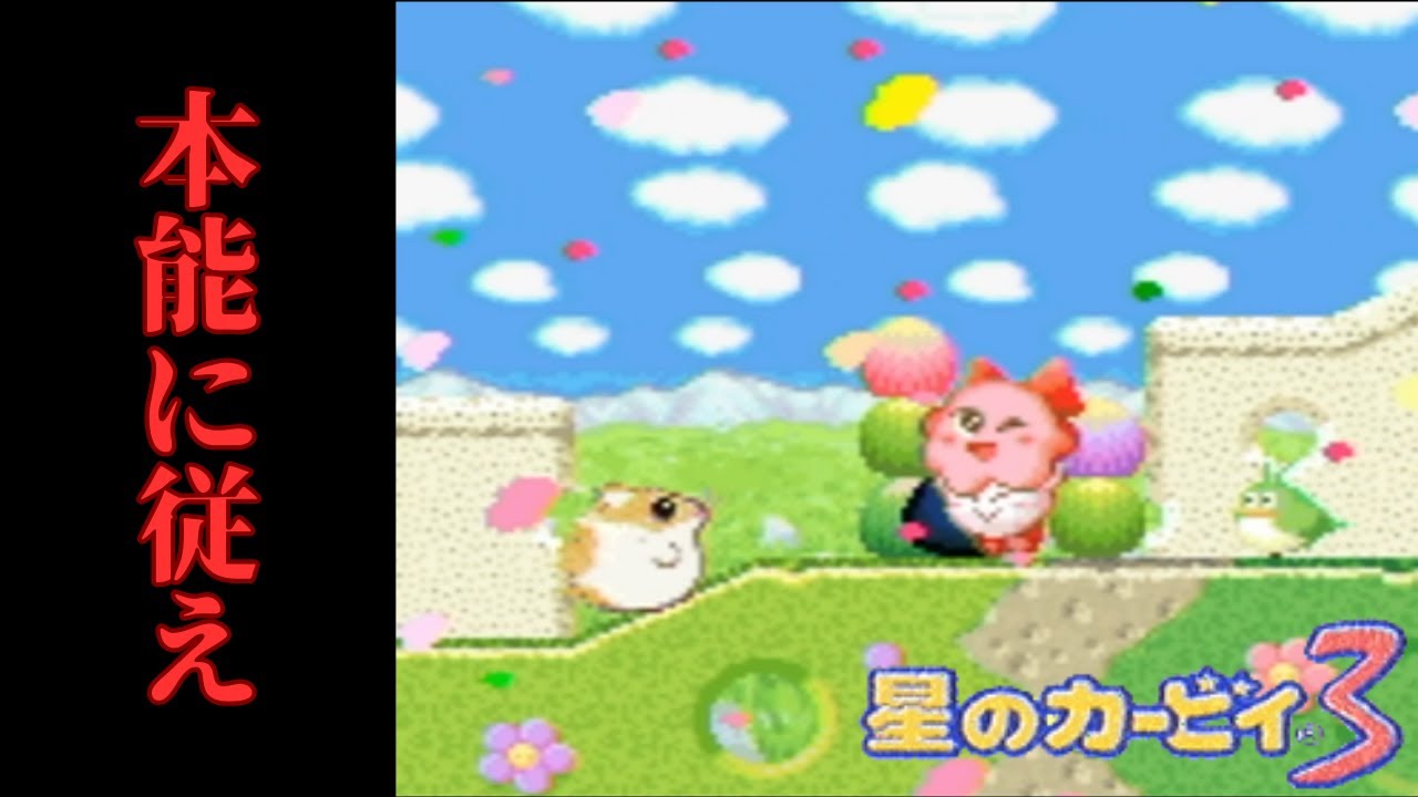 ごめん、女の子にしか興味ないんだ　[星のカービィ3 part1]