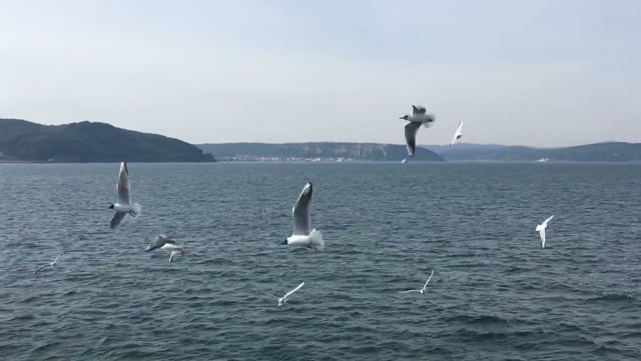 Çanakkale