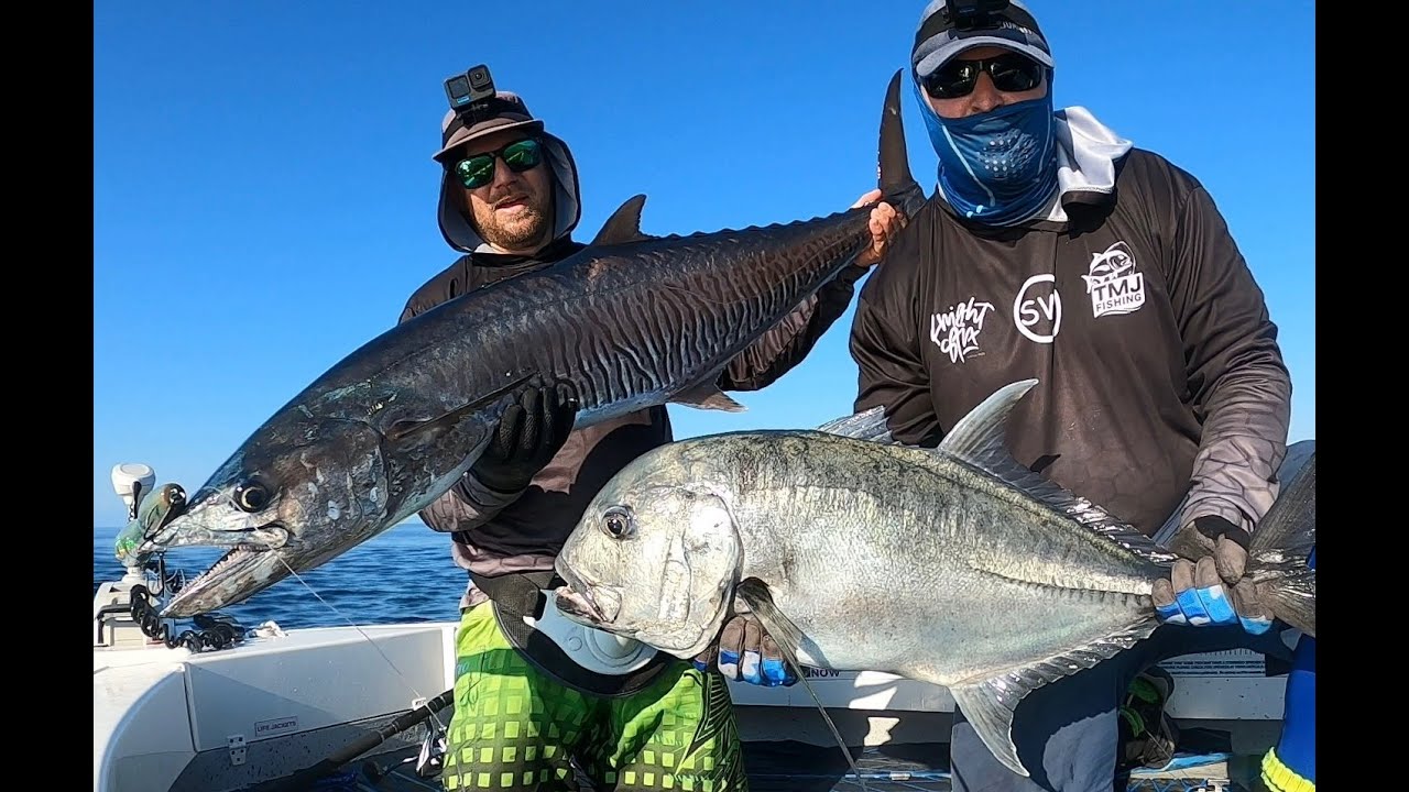 Non-Stop Action at the Outer Reef