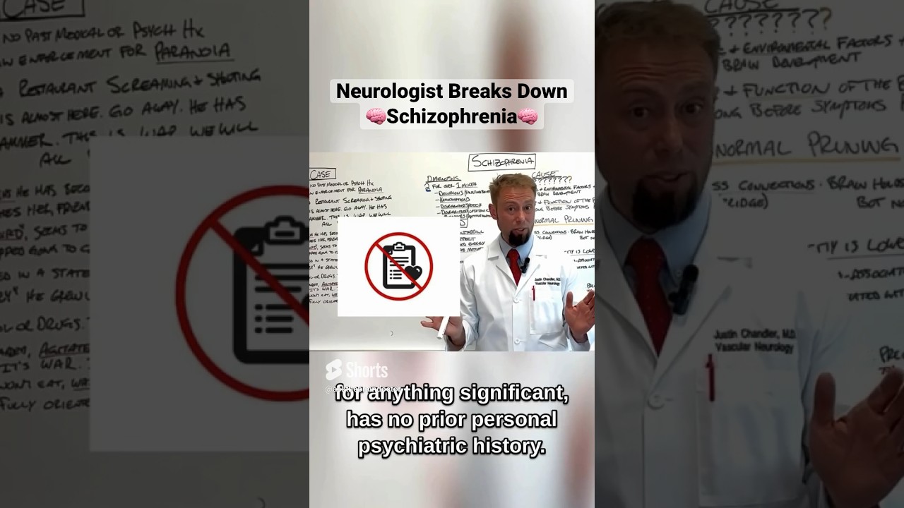 Schizophrenia Deconstructed | Conversation with a Brain Expert! #schizophrenia #doctor