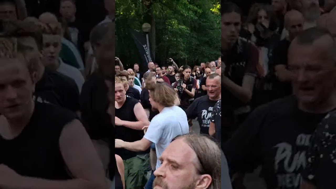 Pogo na koncercie Zbeer