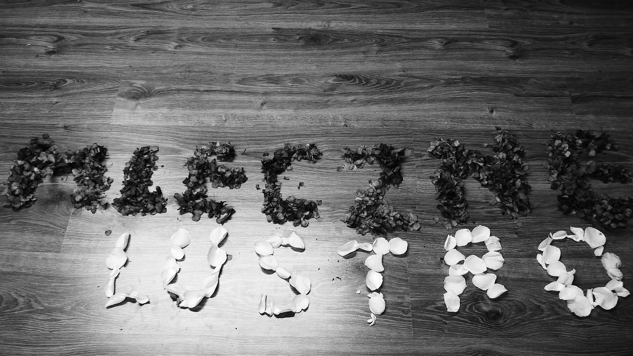 Mleczne Lustro (2026)