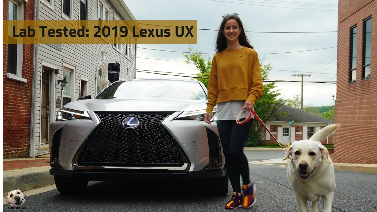 2019 Lexus UX 250h F Sport: Andie the Lab Review!