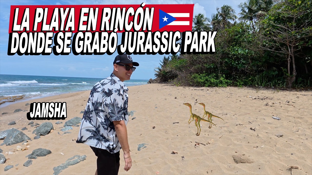 Playa En Rincón Donde Grabaron Jurassic Park - El Faro - Jamsha Toy De Trip Puerto Rico