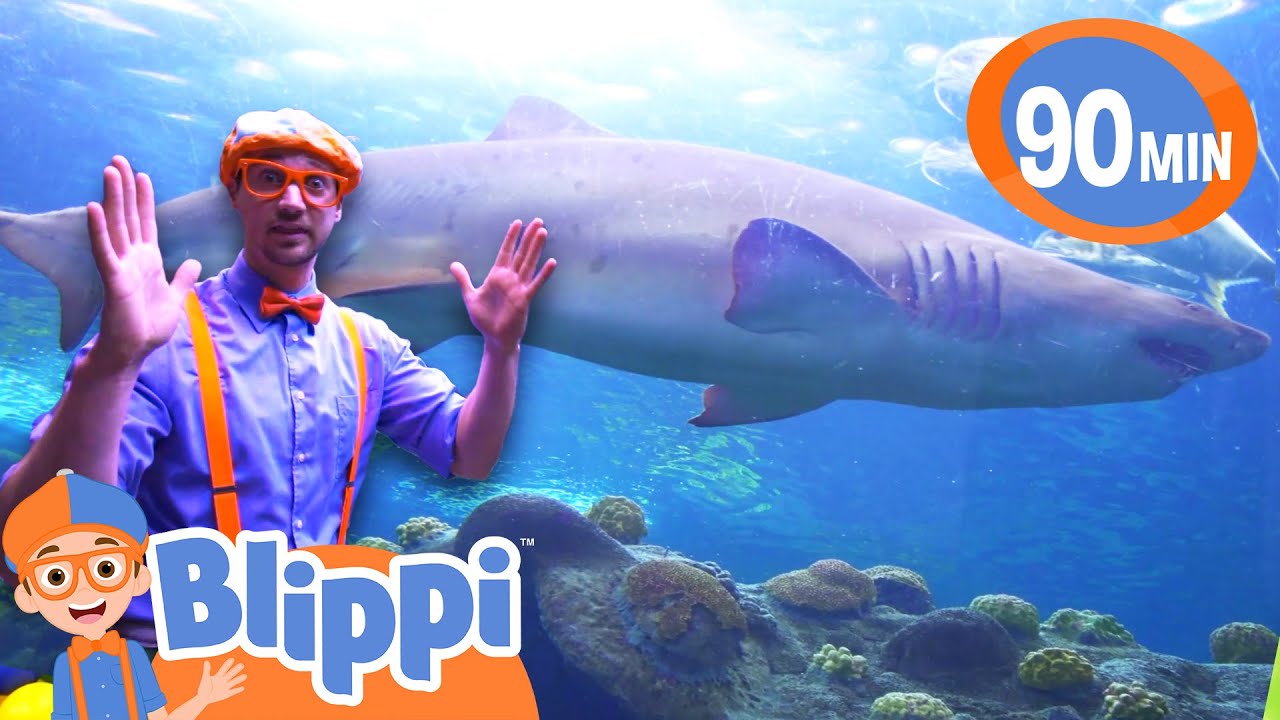 Blippi Visits The Florida Aquarium | Animals for Kids | Funny Cartoons | Learn about Animals