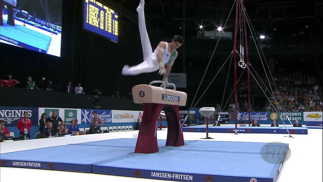 2013 Artistic Gymnastics World Championships - Men's FX, PH and SR Finals - We are Gymnastics!