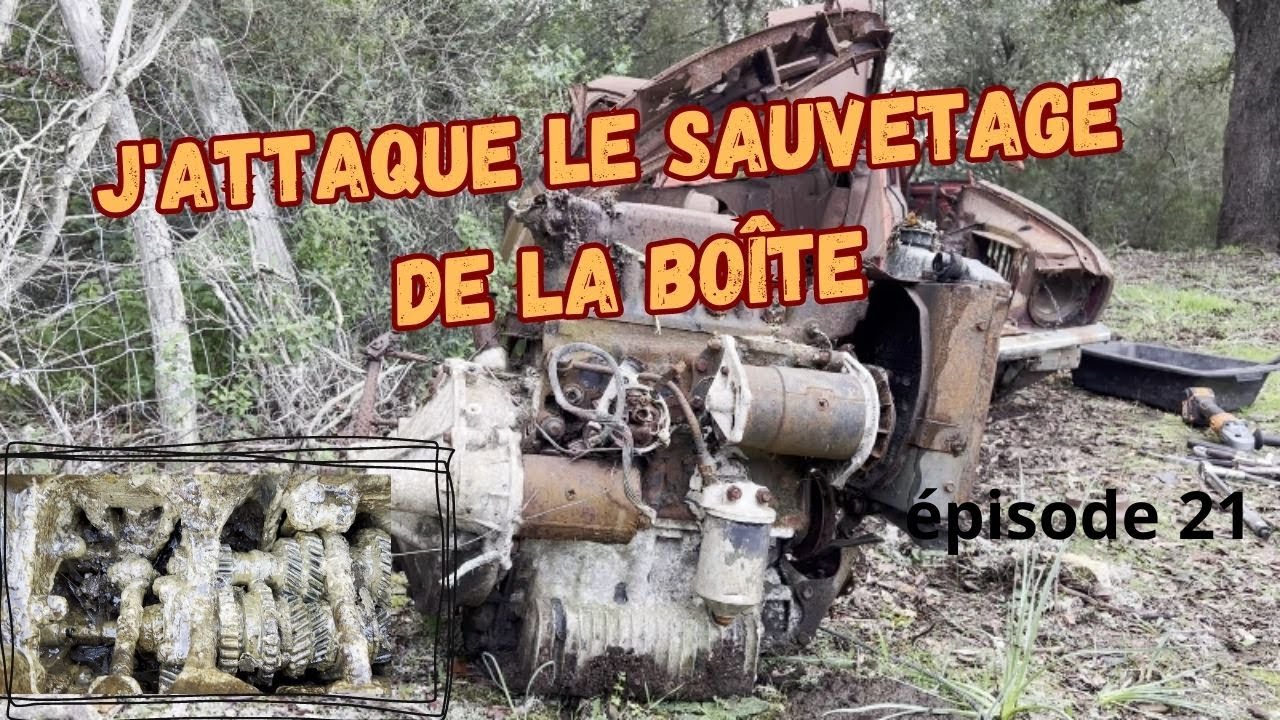 Quand une Mini Cooper de rallye nait au milieu d