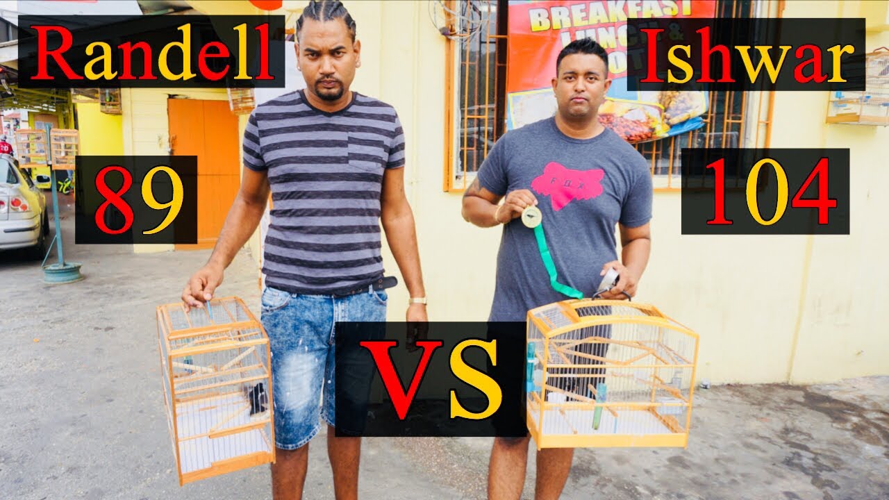 Trinidad bullfinch  Randell VS  Ishwar