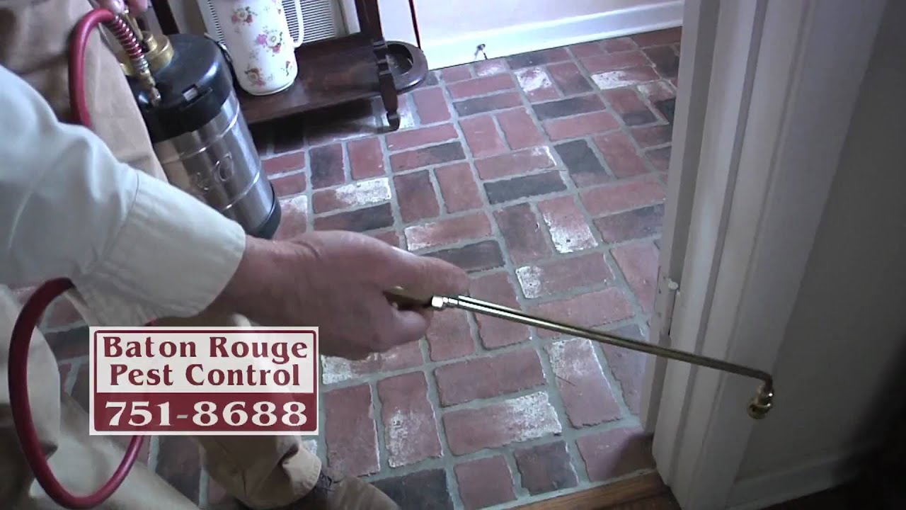 Baton Rouge Pest Control