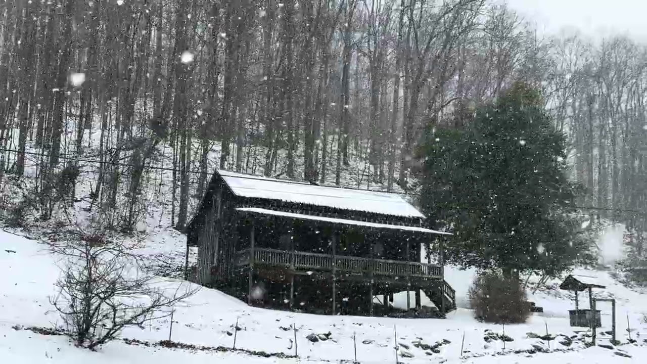 Watching the snowfall in Butcher Holler ￼February 6, 2026