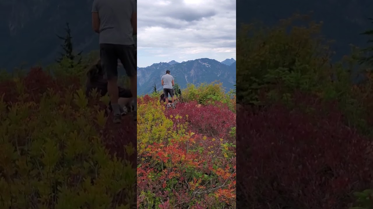 360&ordm; summit of Frog Mountain  #hiking #mountain #washingtonstate