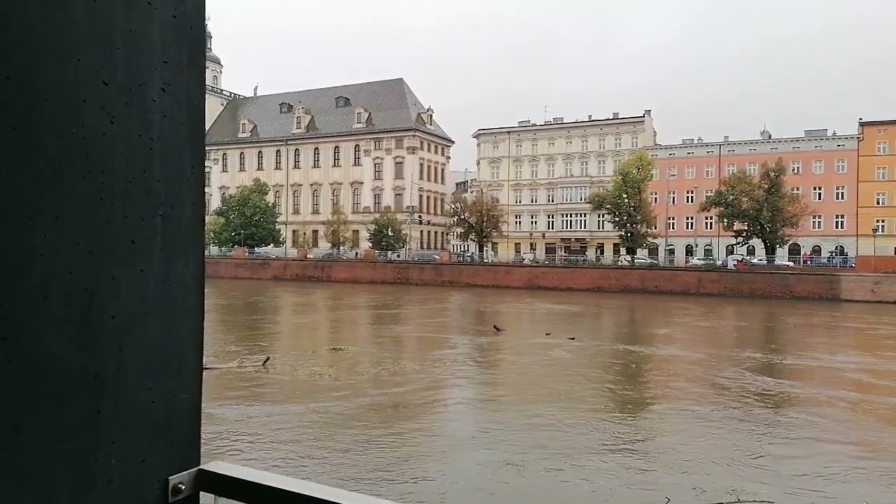 Wrocław, Śluza Mieszczańska, Apartamenty na Palach, przepływ Dużej Wody,Gmach UW VID 20240915 182422
